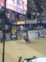 2013 Built Ford Tough World Finals presented by Professional Bull Riders
