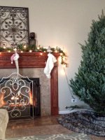 Live Christmas Tree donation