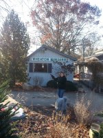 Live Christmas Tree donation