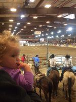 61st Annual Parada Del Sol Rodeo - PRCA - Sunday Afternoon