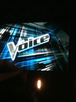 The Voice Tour