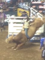 PBR - Jack Daniels Invitational