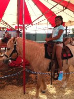 Arizona State Fair Armed Forces Day - Tickets are only good for Oct. 17th