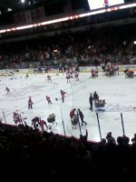 Allen Americans vs Brampton Beast - ECHL - Saturday