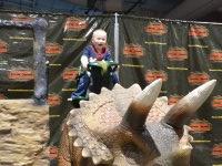 Discover the Dinosaurs - Saturday