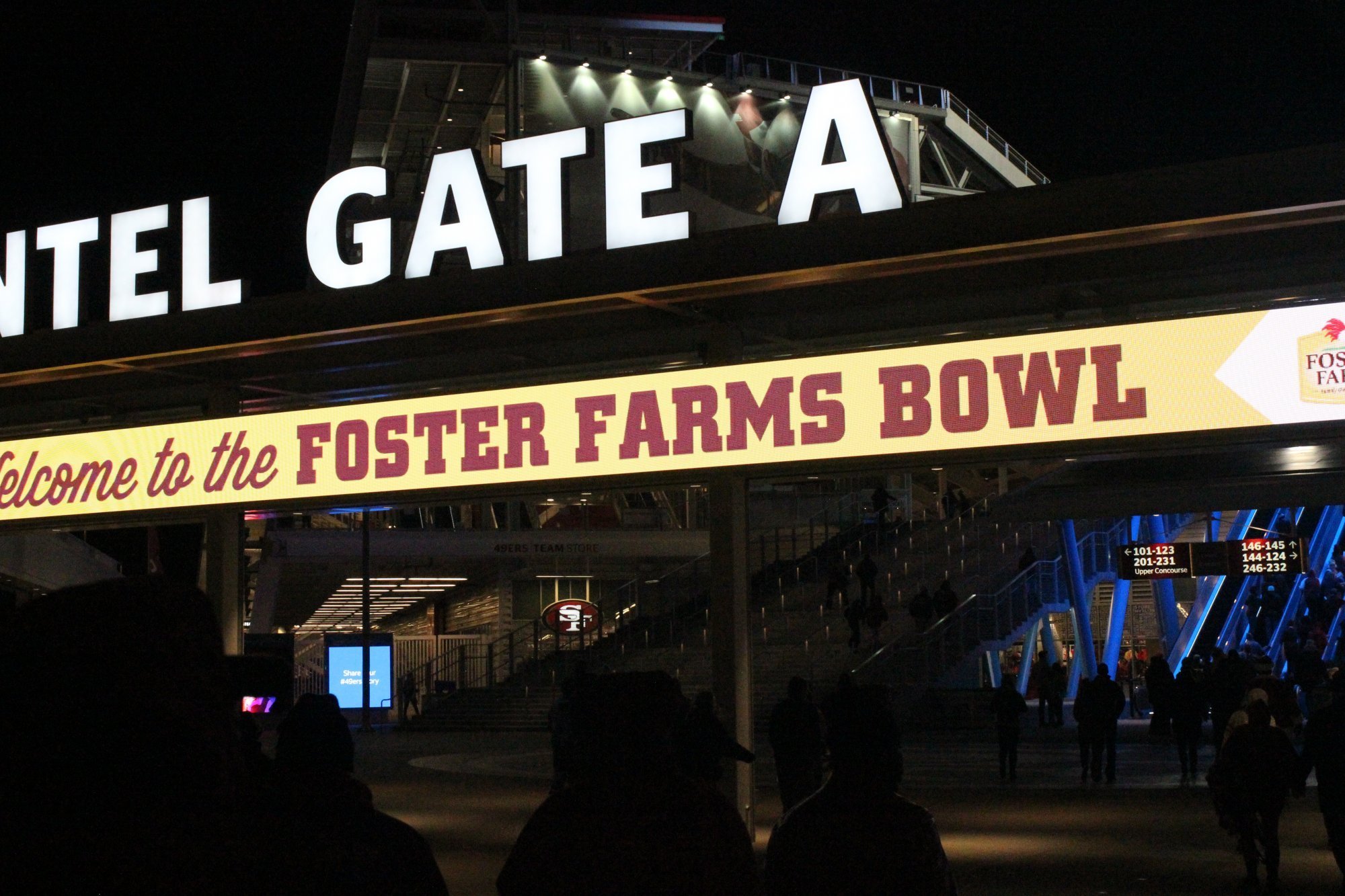 2014 Foster Farms Bowl - Stanford Cardinal vs. Maryland Terrapins - NCAA Football