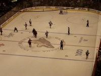 Arizona Coyotes vs. Ottawa Senators - NHL