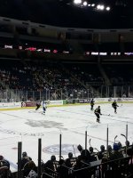 Gwinnett Gladiators vs. Florida Everblades - ECHL - Sunday