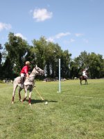 The Cardillo Cup - Polo Match and Festival - Presented by the Victory Cup - Saturday