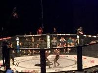 WSOF 23 Gaethje vs. Palomino  2 - Mixed Martial Arts - Presented by World Series of Fighting - Friday