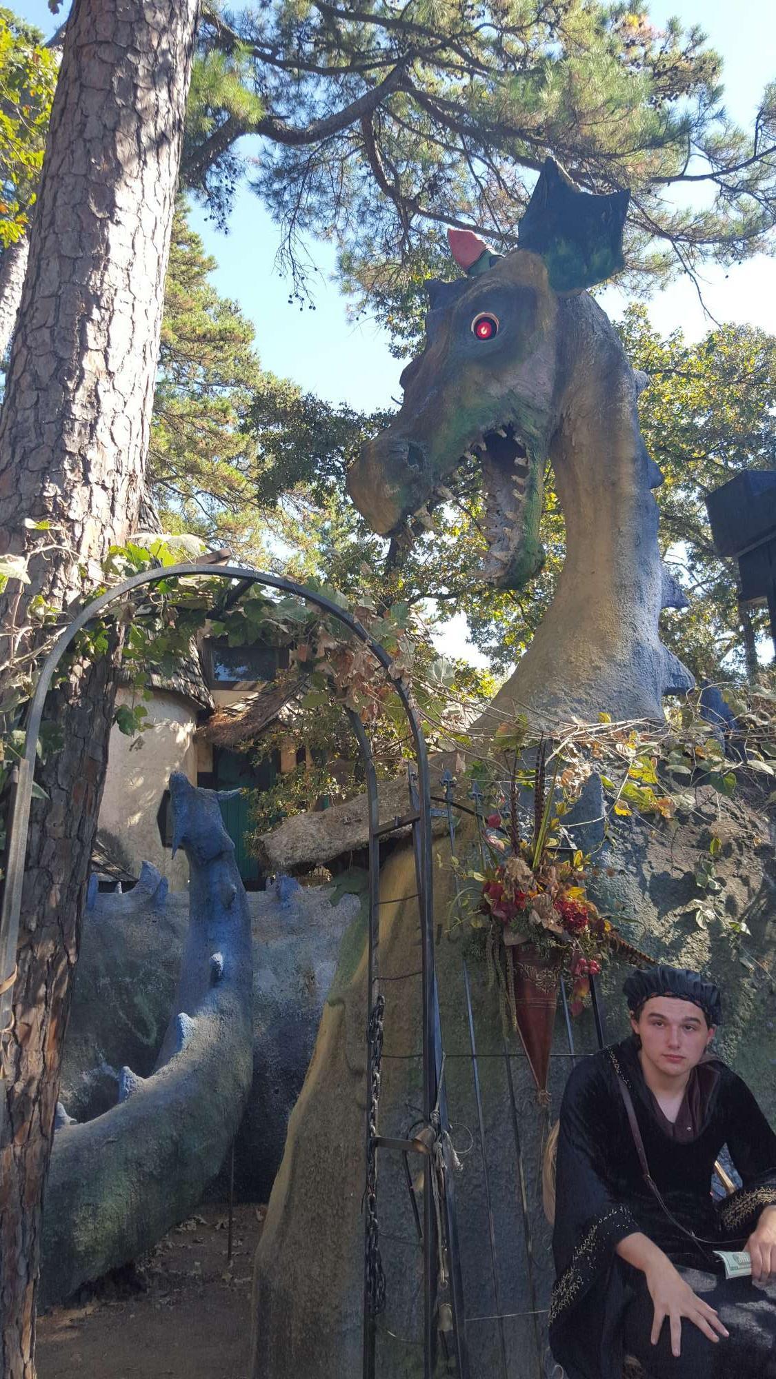 Texas Renaissance Festival - Sunday October 18 Only