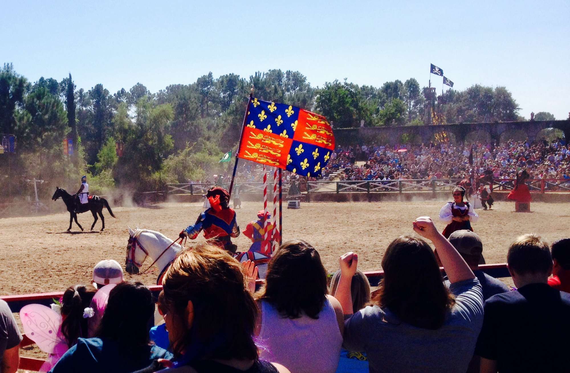Texas Renaissance Festival - Sunday October 18 Only