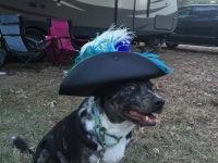 Texas Renaissance Festival - Sunday October 18 Only