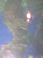 Grease Sing Along at the Historic Balboa Theatre