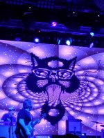 Blues Traveler the Black Moods, Matt Jaffe and the Distractions -  Live