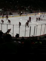 Arizona Coyotes vs. Edmonton Oilers - NHL - Military Appreciation Night