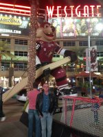 Arizona Coyotes vs. Edmonton Oilers - NHL - Military Appreciation Night