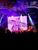 The Psychedelic Furs - Live in Concert