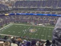 Baltimore Ravens vs. St Louis Rams - NFL