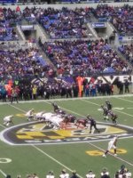 Baltimore Ravens vs. St Louis Rams - NFL