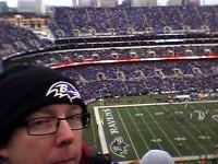 Baltimore Ravens vs. St Louis Rams - NFL