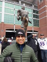 Baltimore Ravens vs. St Louis Rams - NFL