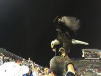 2015 Godaddy Bowl - Georgia Southern Eagles vs. Bowling Green Falons - NCAA Football