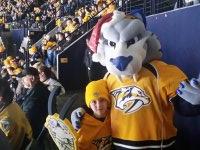 Nashville Predators vs. Minnesota Wild - NHL