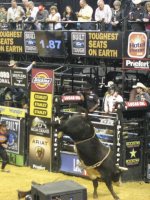 Professional Bull Riders: PBR Greensboro Invitational...SATURDAY