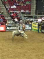 PBR - Professional Bull Riders - Table Mountain Casino Invitational (Sunday)