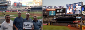 New York Yankees vs. Tampa Bay Rays - MLB
