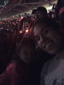 Taylor Swift Reputation Stadium Tour