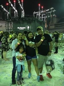 Taylor Swift Reputation Stadium Tour