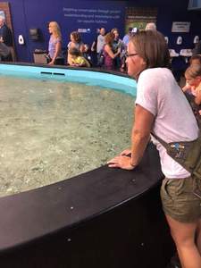 Tampa Bay Rays vs. Detroit Tigers - MLB