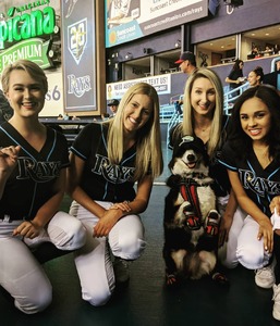 Tampa Bay Rays vs. Los Angeles Angels - MLB