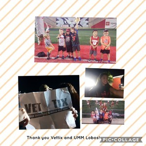 New Mexico Lobos vs. Liberty Flames - NCAA Football