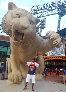 Detroit Tigers vs. Minnesota Twins - MLB