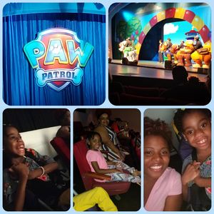 Paw Patrol Live: Race to the Rescue - Children's Theatre