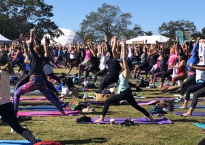 Wanderlust 108 Tampa - a 5k, Yoga and Meditate Festival