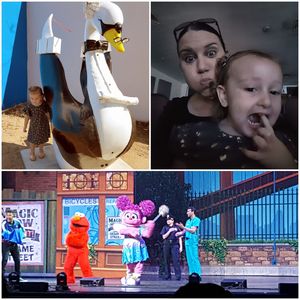 Sesame Street Live! Make Your Magic - Saturday Early Show
