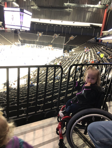 Jacksonville Icemen vs. South Carolina Stingrays - ECHL