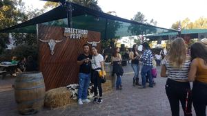 Ngon attended Driftwood Festival - Weekend Passes on Nov 10th 2018 via VetTix 