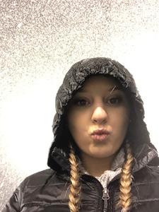 Washington State Cougars vs. Washington - NCAA Football