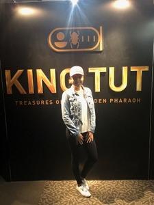 King Tut: Treasures of the Golden Pharaoh