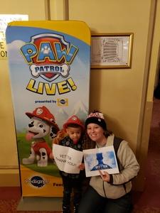 Paw Patrol Live! Race to the Rescue - Children's Theatre