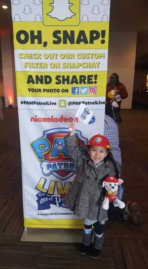 Paw Patrol Live! The Great Pirate Adventure - Presented by Vstar Entertainment - 2:00PM