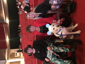 Disney's Dcappella - Other