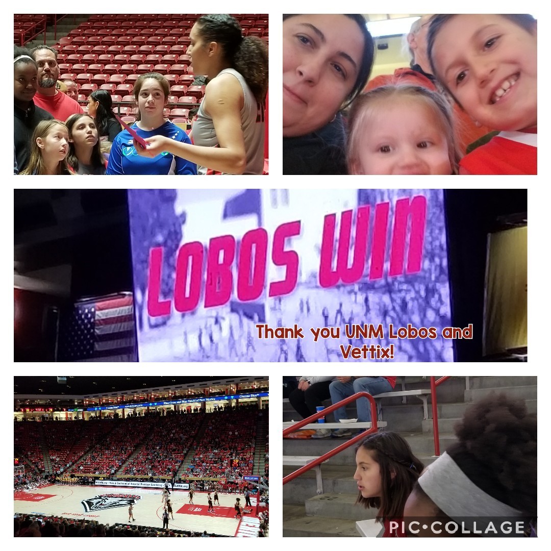 University of New Mexico Lobos vs. Wyoming - NCAA Women's Basketball