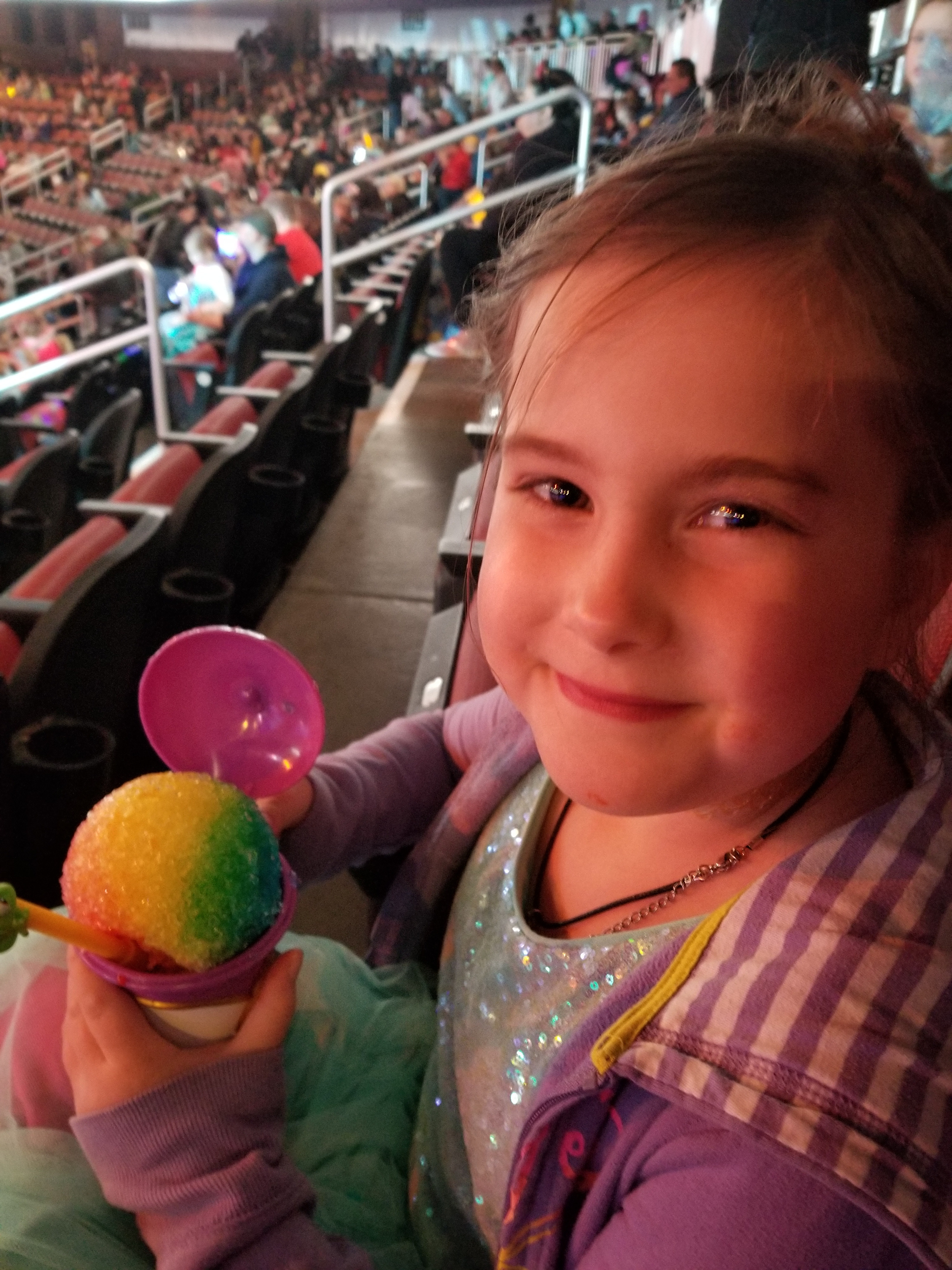 Disney on Ice Presents Dare to Dream