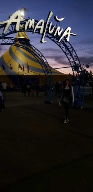 Cirque Du Soleil - Amaluna